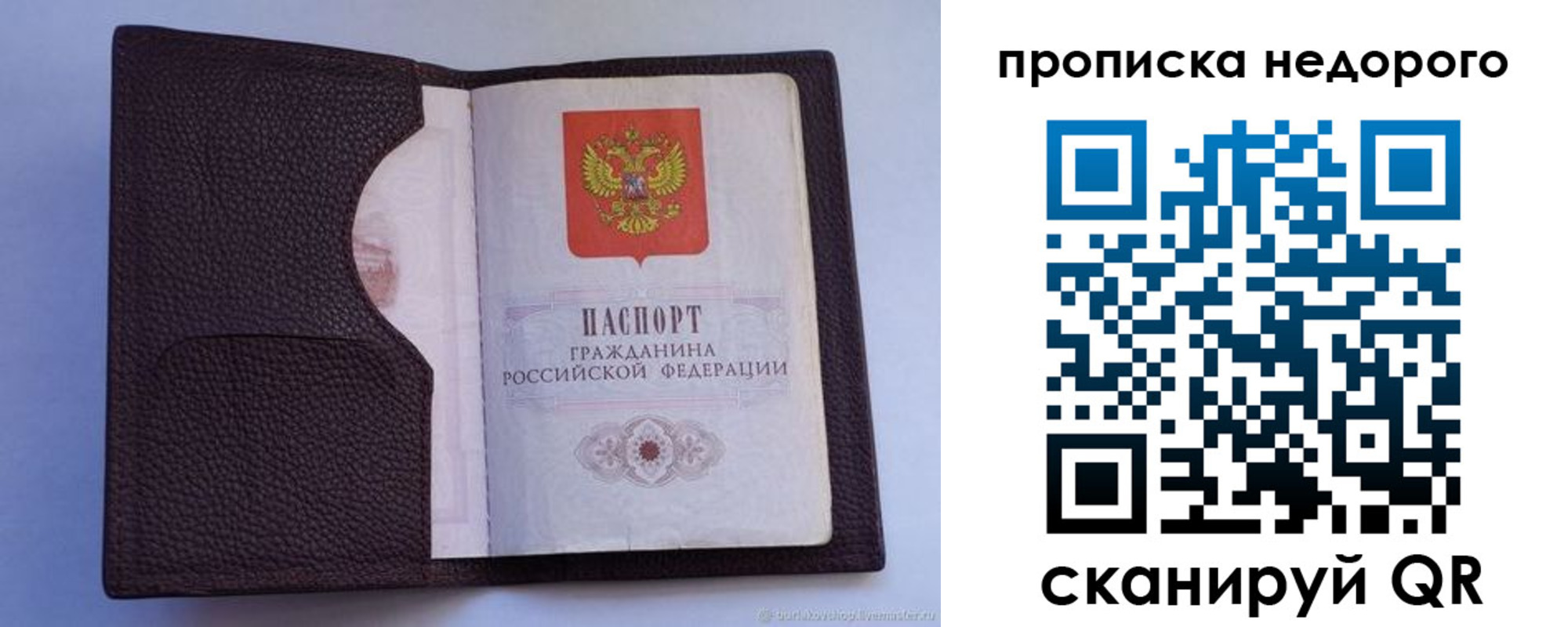 прописка законно в Сураже